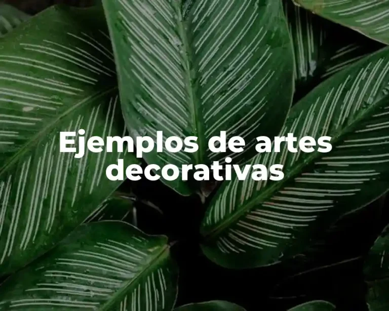 Ejemplos de artes decorativas
