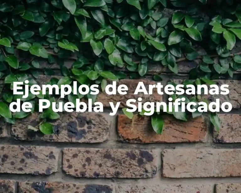 Ejemplos de Artesanas de Puebla y Significado