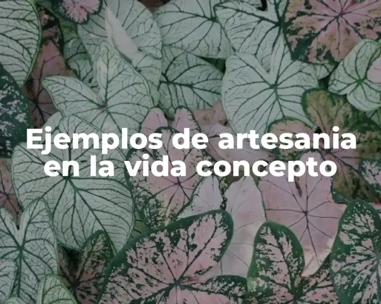 Ejemplos de artesania en la vida concepto