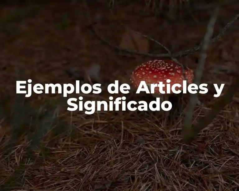 Ejemplos de Articles y Significado