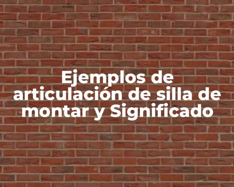Ejemplos de articulación de silla de montar y Significado
