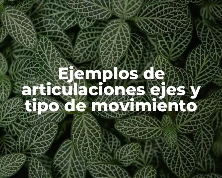Ejemplos de articulaciones ejes y tipo de movimiento