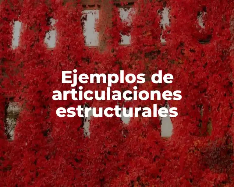 Ejemplos de articulaciones estructurales
