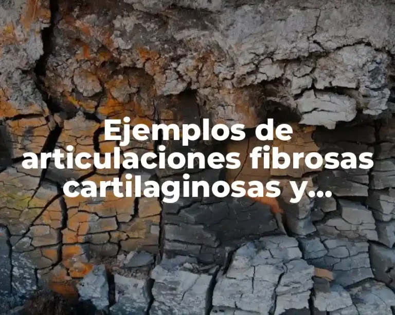 Ejemplos de articulaciones fibrosas cartilaginosas y sinoviales