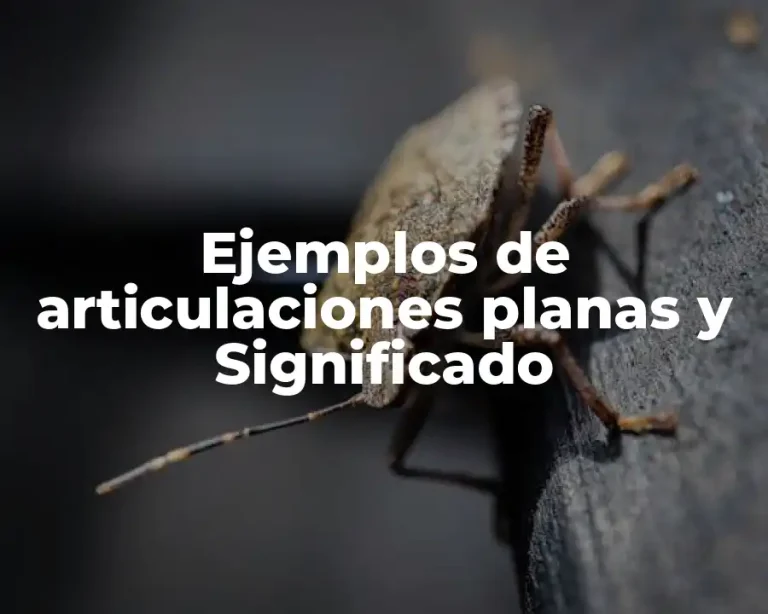 Ejemplos de articulaciones planas y Significado