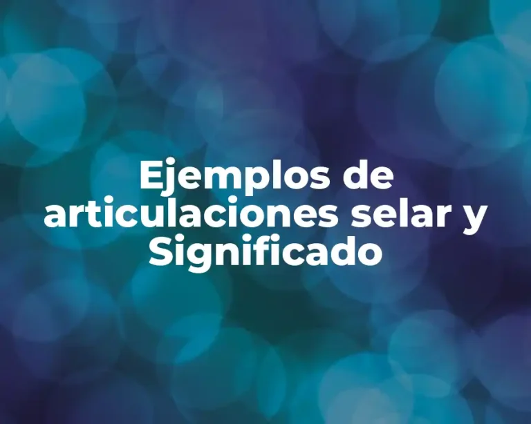 Ejemplos de articulaciones selar y Significado