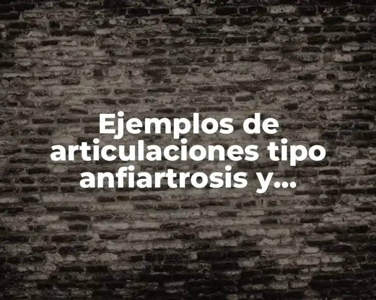 Ejemplos de articulaciones tipo anfiartrosis y Significado