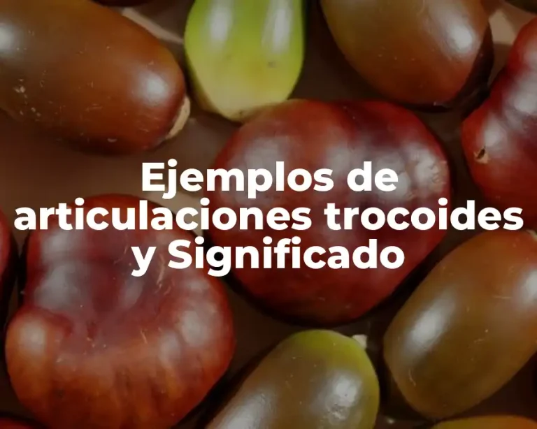 Ejemplos de articulaciones trocoides y Significado