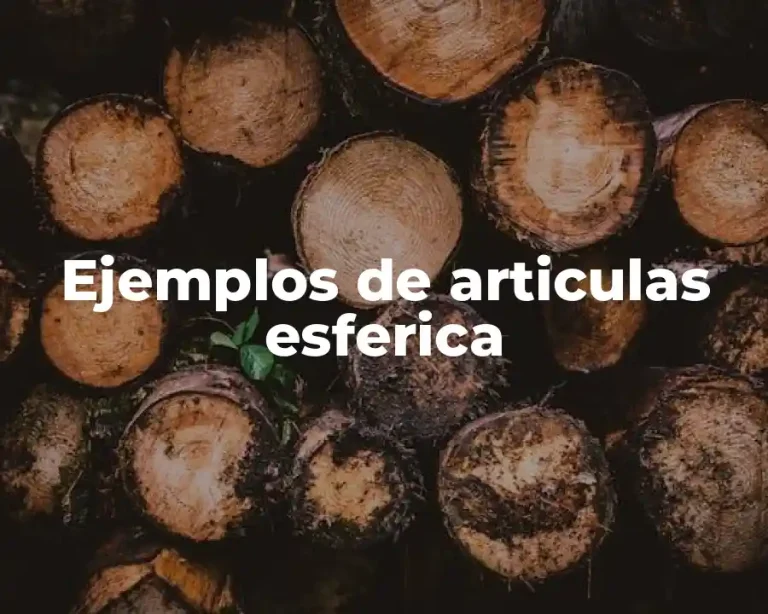 Ejemplos de articulas esferica
