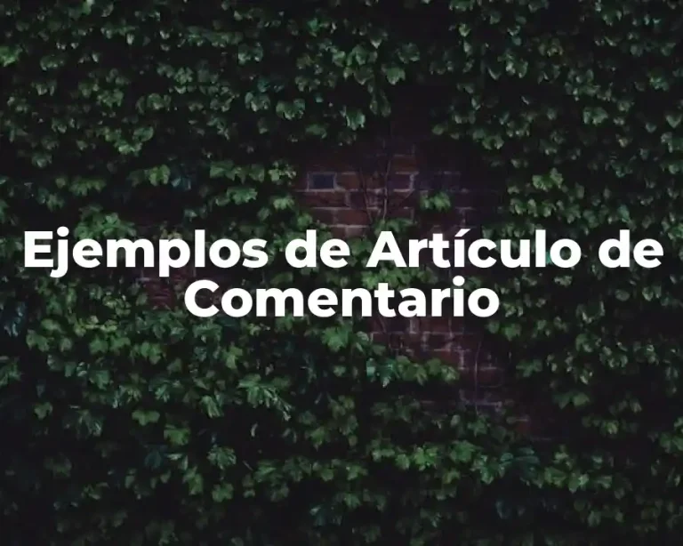 Ejemplos de Artículo de Comentario