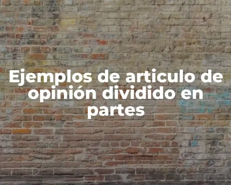 Ejemplos de articulo de opinión dividido en partes