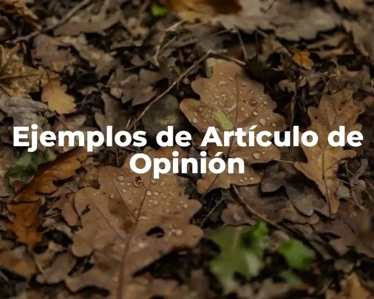 Ejemplos de Artículo de Opinión