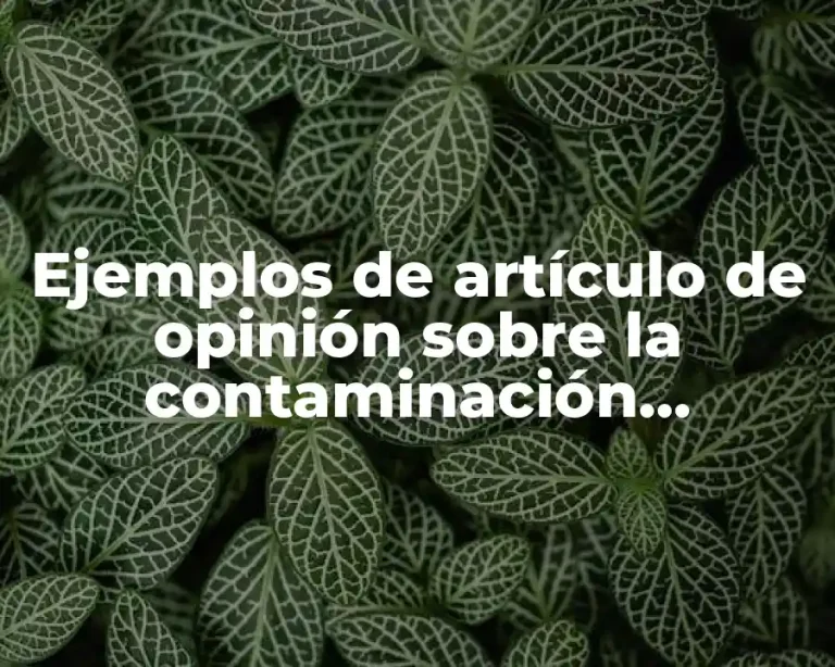 Ejemplos de artículo de opinión sobre la contaminación ambiental