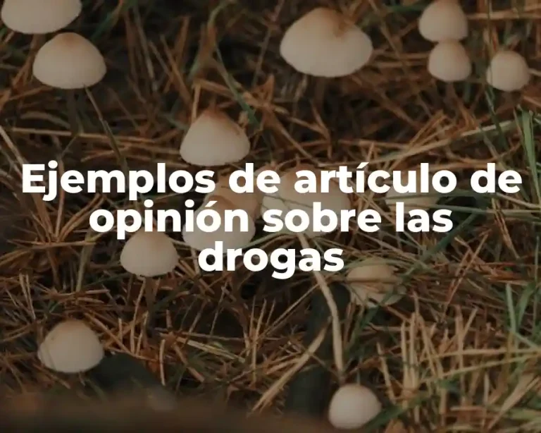 Ejemplos de artículo de opinión sobre las drogas