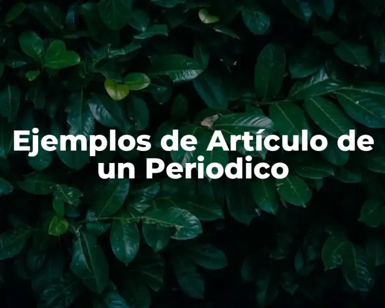 Ejemplos de Artículo de un Periodico