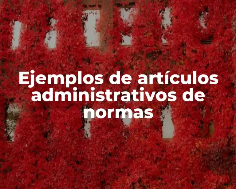 Ejemplos de artículos administrativos de normas
