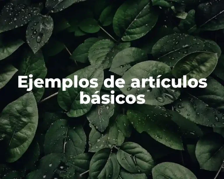 Ejemplos de artículos básicos