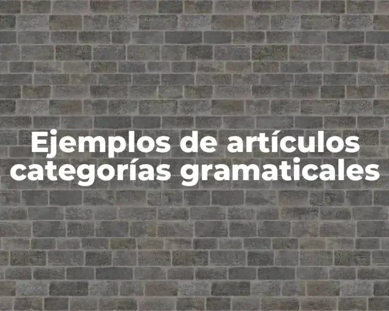 Ejemplos de artículos categorías gramaticales