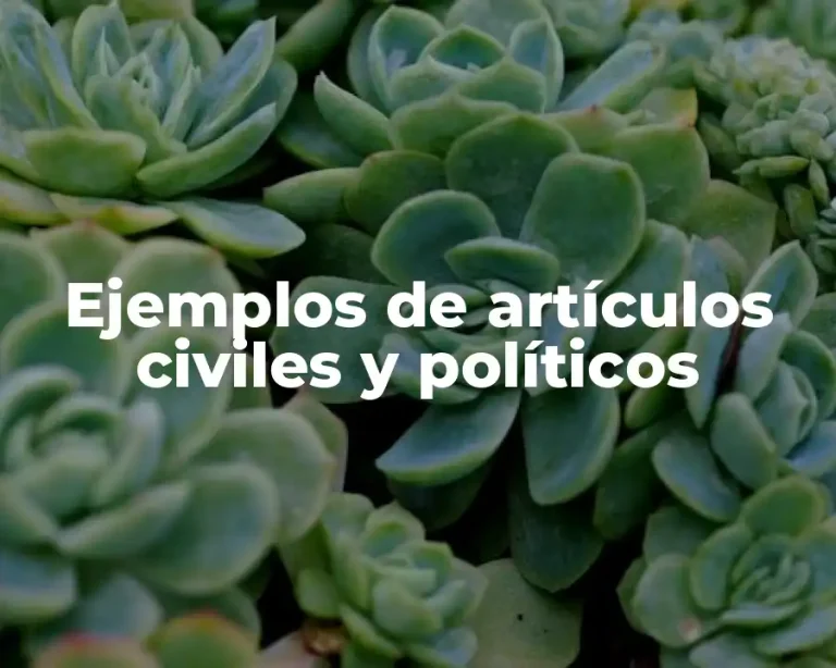 Ejemplos de artículos civiles y políticos