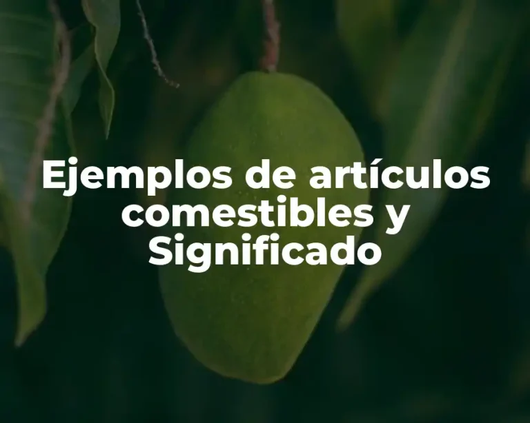 Ejemplos de artículos comestibles y Significado