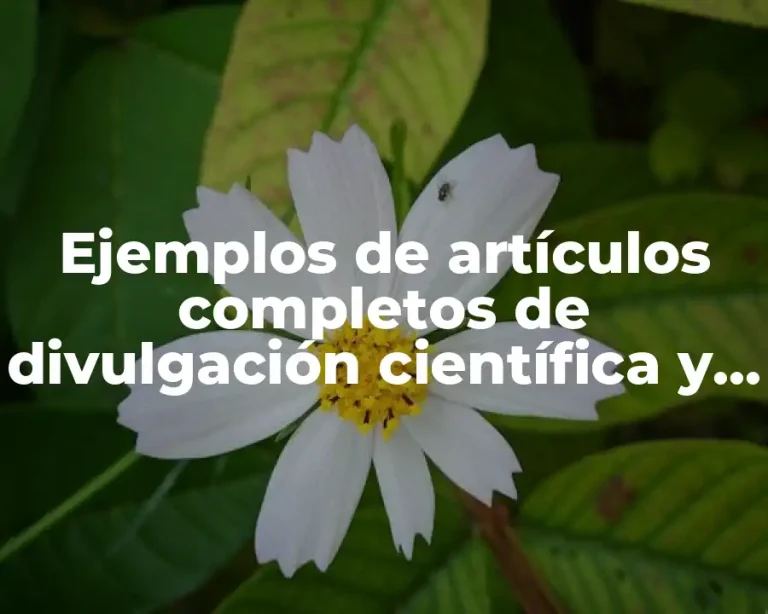 Ejemplos de artículos completos de divulgación científica y Significado