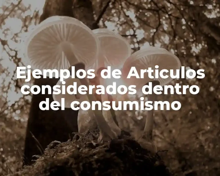 Ejemplos de Articulos considerados dentro del consumismo