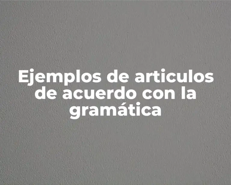 Ejemplos de articulos de acuerdo con la gramática