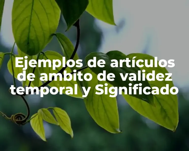 Ejemplos de artículos de ambito de validez temporal y Significado