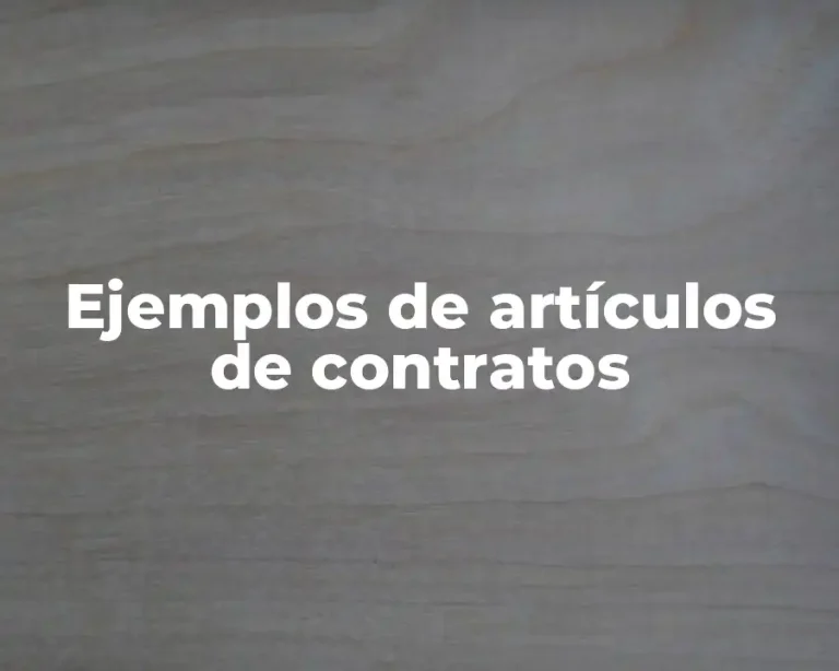 Ejemplos de artículos de contratos