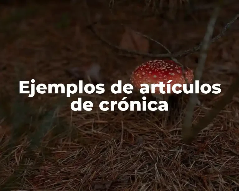 Ejemplos de artículos de crónica