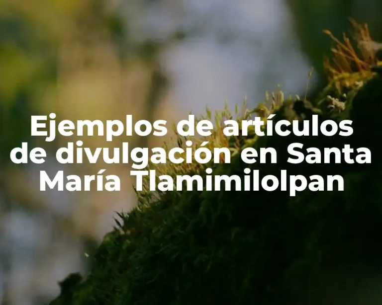 Ejemplos de artículos de divulgación en Santa María Tlamimilolpan