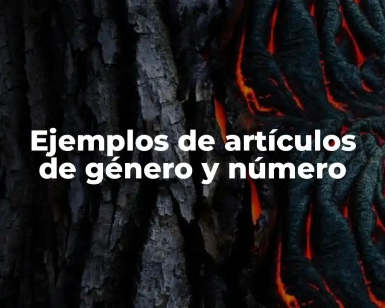 Ejemplos de artículos de género y número