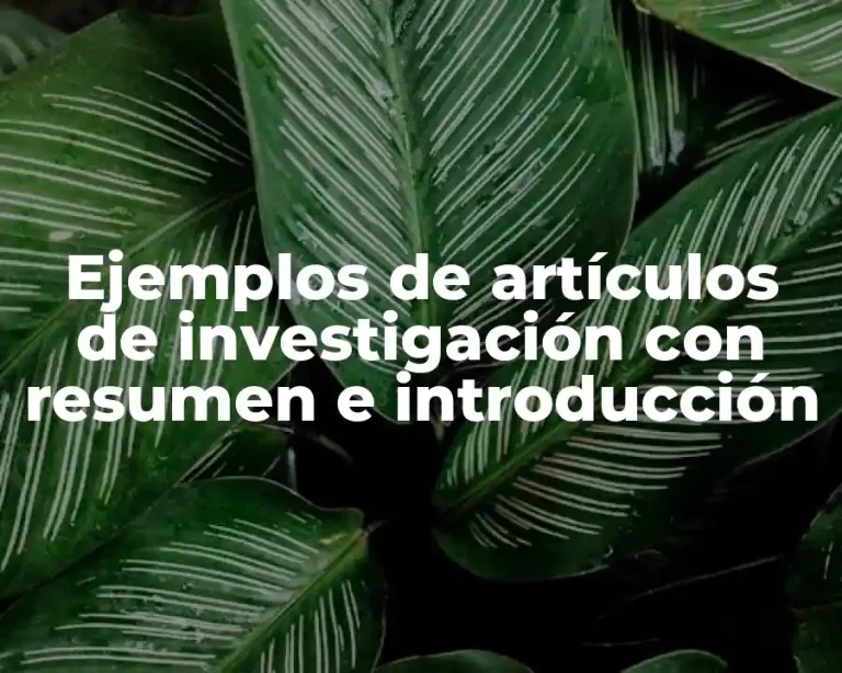 Ejemplos de artículos de investigación con resumen e introducción