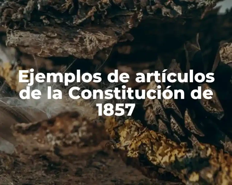 Ejemplos de artículos de la Constitución de 1857