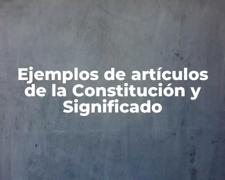Ejemplos de artículos de la Constitución y Significado