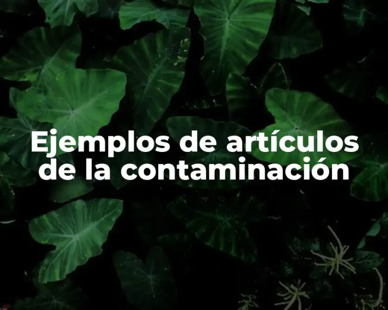 Ejemplos de artículos de la contaminación