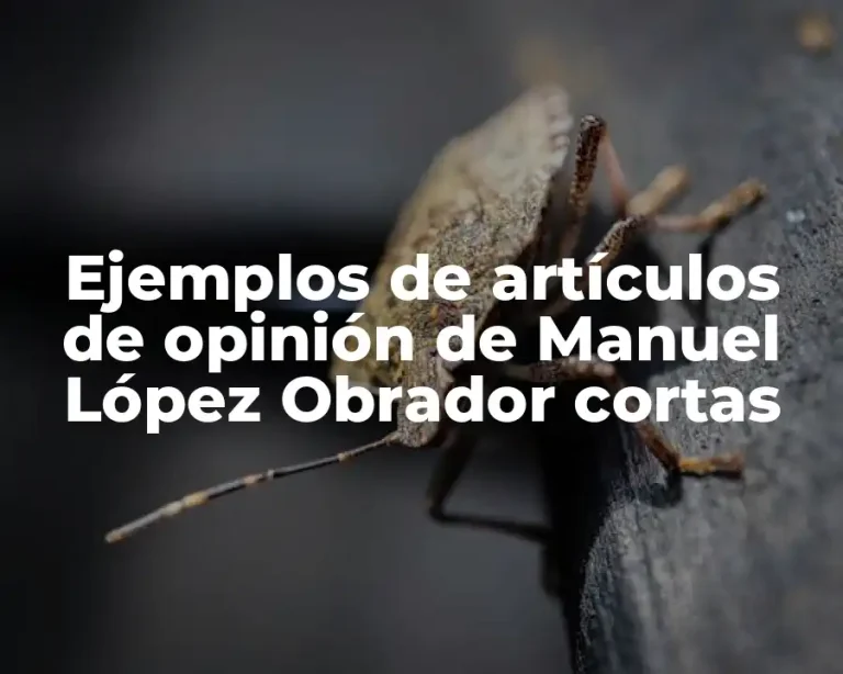 Ejemplos de artículos de opinión de Manuel López Obrador cortas