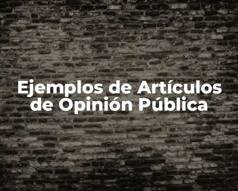 Ejemplos de Artículos de Opinión Pública