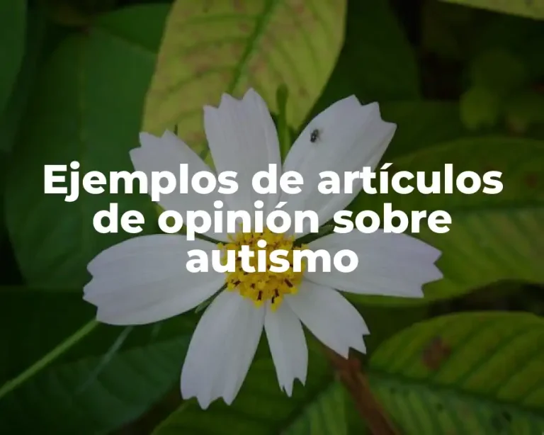 Ejemplos de artículos de opinión sobre autismo