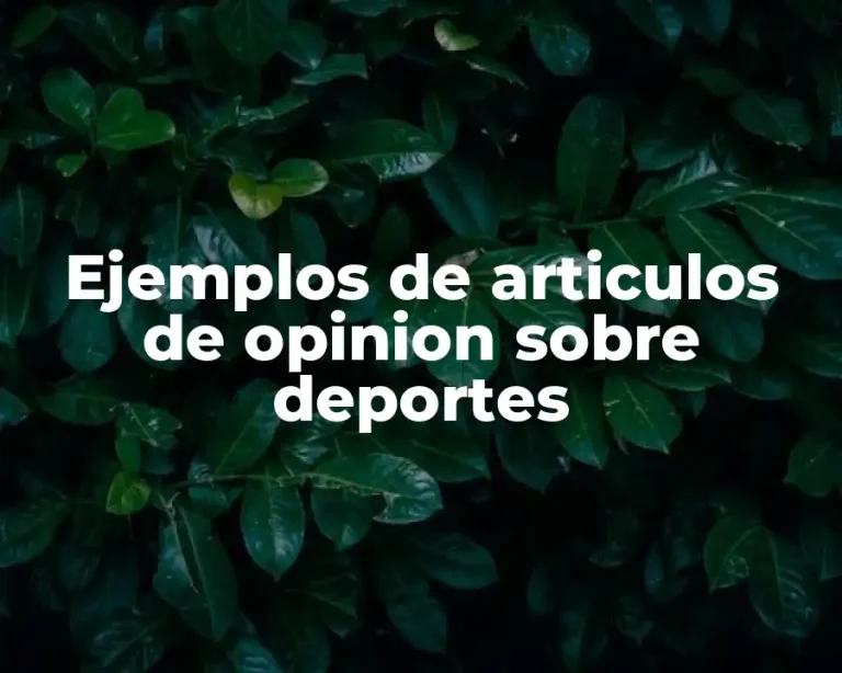 Ejemplos de articulos de opinion sobre deportes