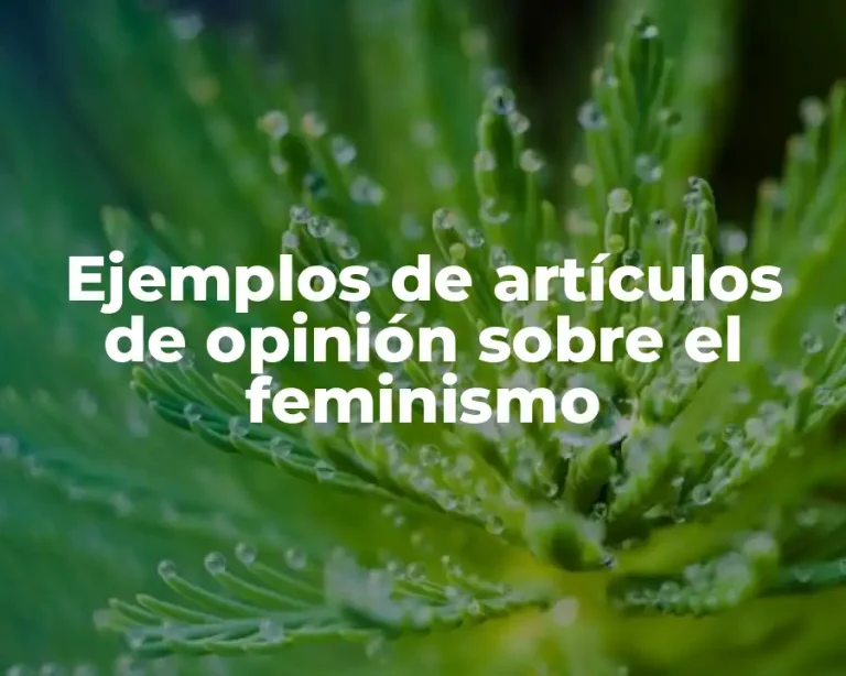 Ejemplos de artículos de opinión sobre el feminismo