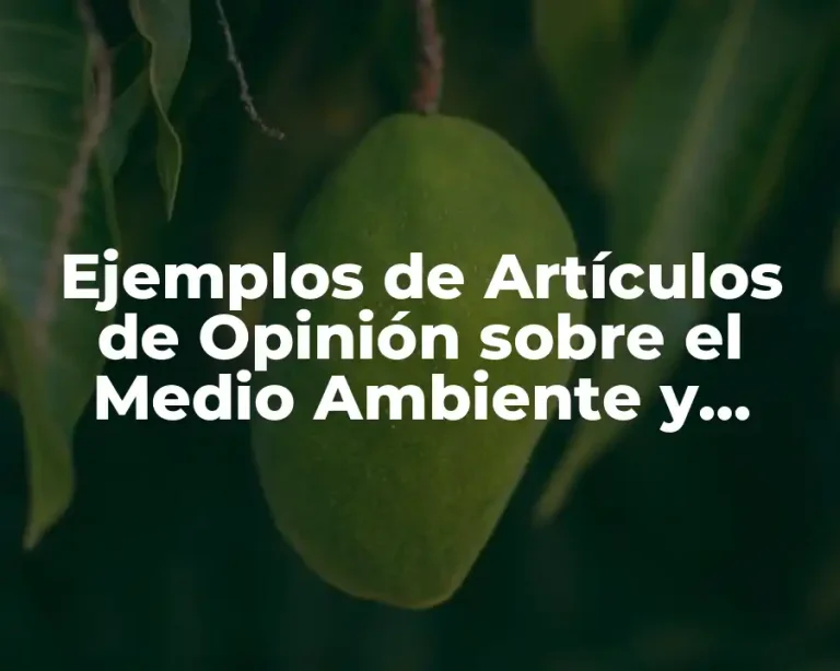 Ejemplos de Artículos de Opinión sobre el Medio Ambiente y Significado