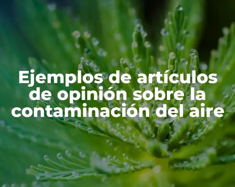Ejemplos de artículos de opinión sobre la contaminación del aire