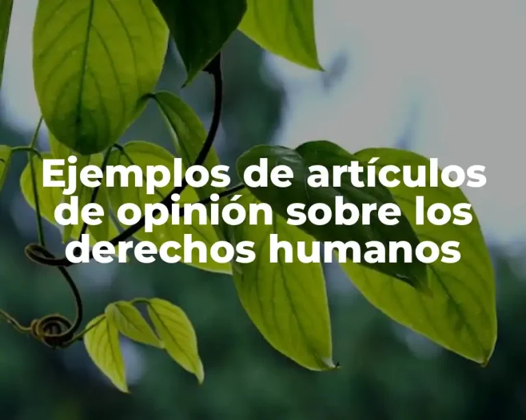 Ejemplos de artículos de opinión sobre los derechos humanos