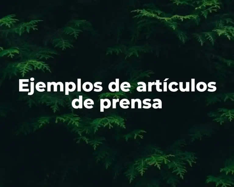 Ejemplos de artículos de prensa