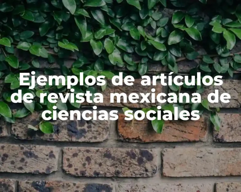 Ejemplos de artículos de revista mexicana de ciencias sociales