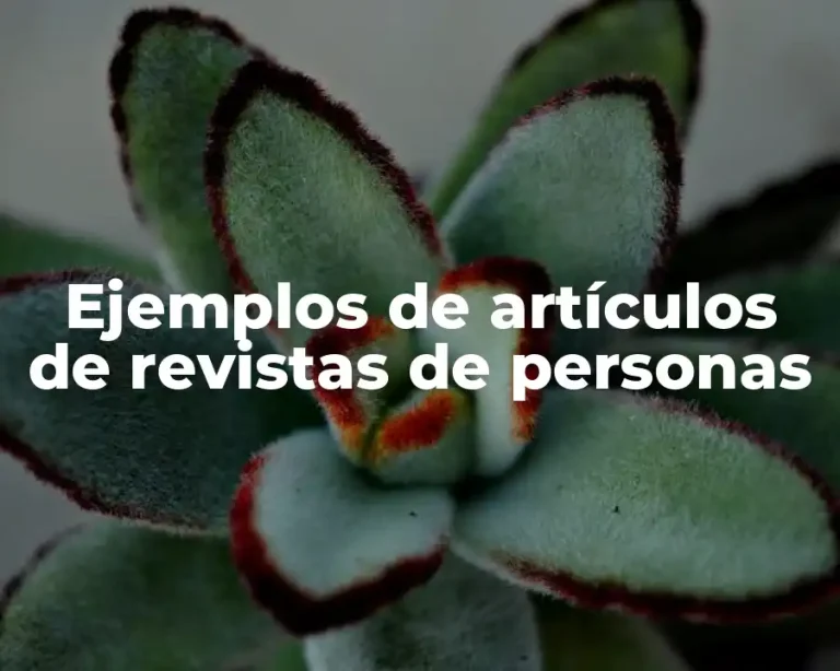 Ejemplos de artículos de revistas de personas