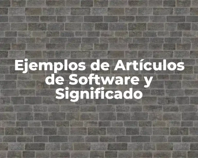 Ejemplos de Artículos de Software y Significado