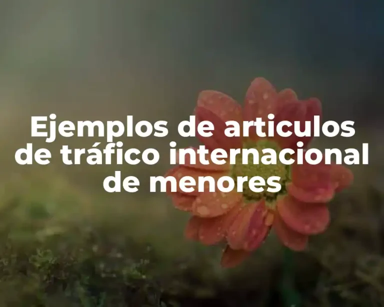 Ejemplos de articulos de tráfico internacional de menores