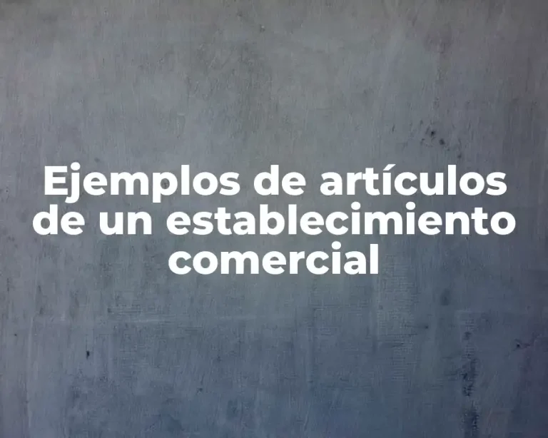 Ejemplos de artículos de un establecimiento comercial